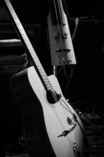 Ginkgoa im franz.K-004-Bearbeitet