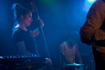 Ginkgoa im franz.K-130